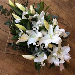 Lily Tied Sheaf