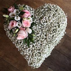 Gypsophila Heart