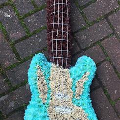Electric Guitar