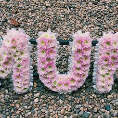 Pink Letters