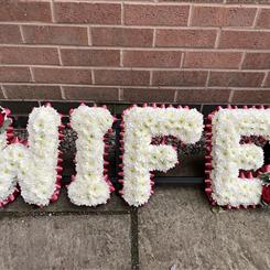 WIFE Tribute