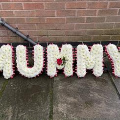 MUMMY Tribute
