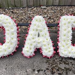 DAD Tribute