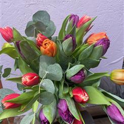 Tulips