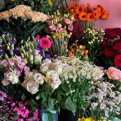 Florist Choice